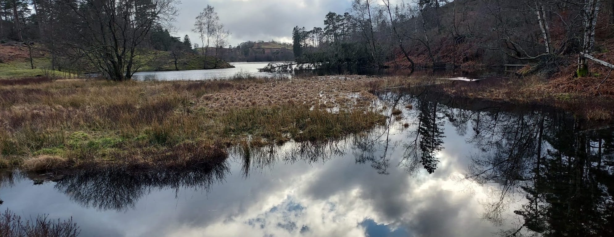 reflection of blue sky and clouds in a lake with autumnal trees in the distance