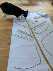 Tam the cat inspecting one of the cloth body maps laid out on a wooden floor