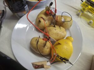 A plate with 4 potatoes and a lemon wired up to a small red light and a clock